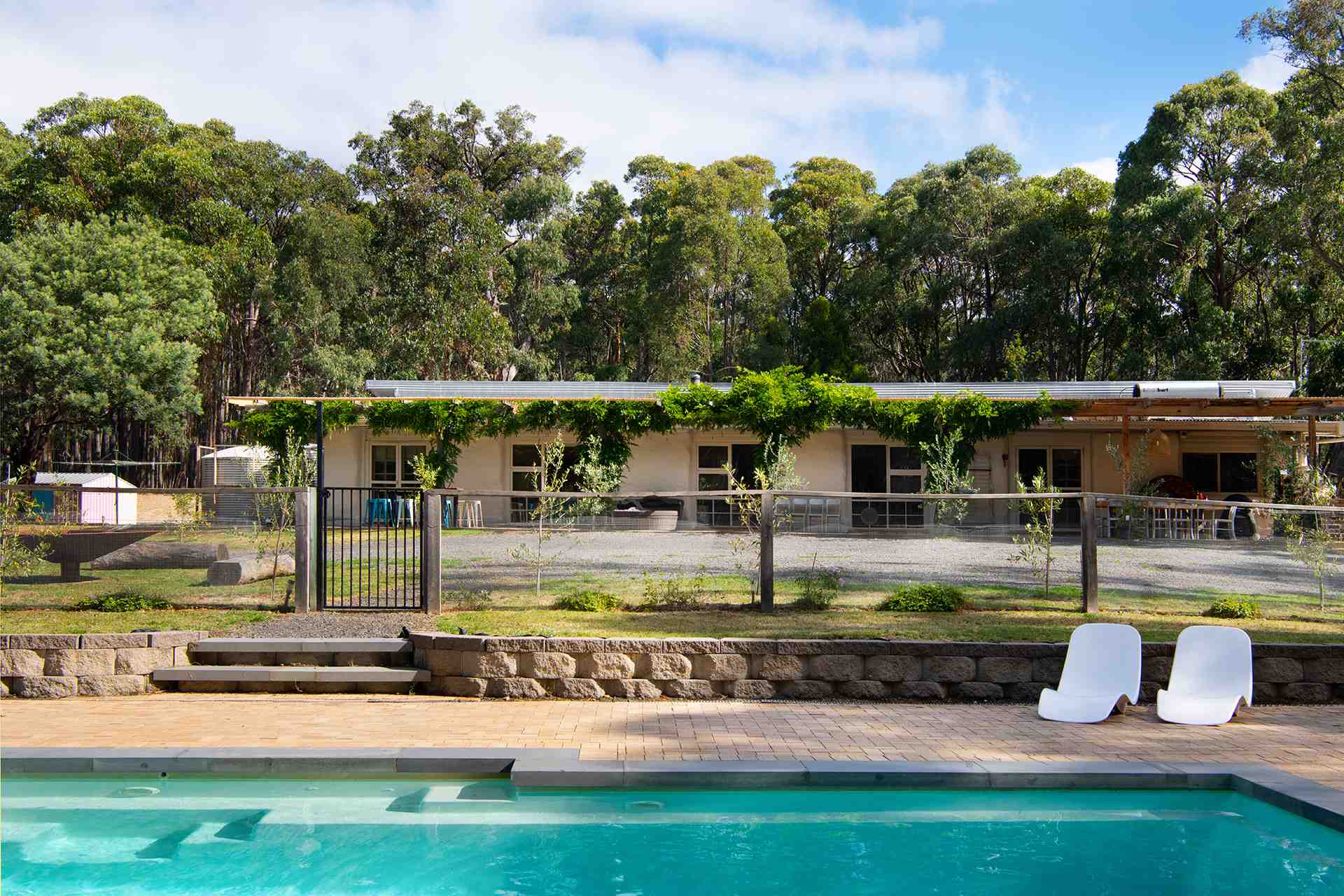 Pool and loungers